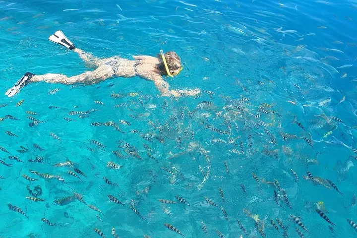 Морской парк Сент-Анн: частный катер на весь день — фото 3