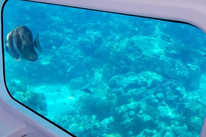 Полупогружная лодка в морском парке Сент-Анн — фото 4