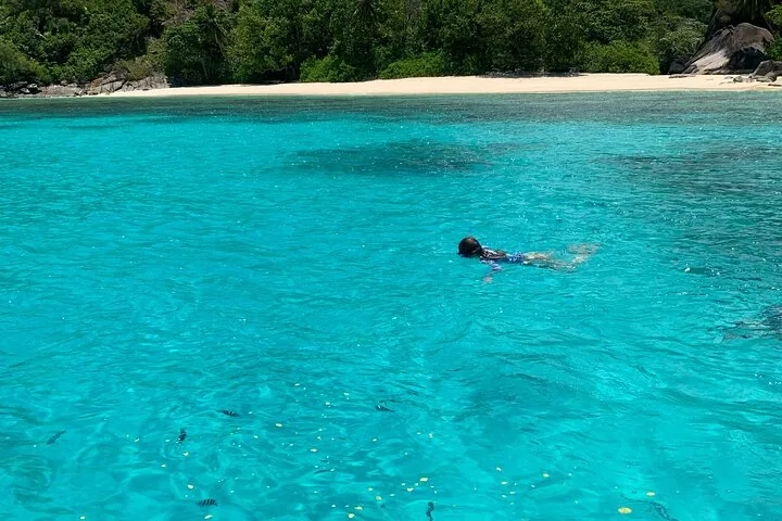 Риф-сафари: снорклинг и кормление рыб (групповой) — фото 3